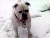 last winter