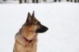 Fiona and winter and snow