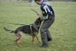 Ultimo working protection 
