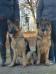 Aida Spirit Wolf &amp; Becky Spirit Wolf