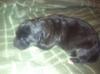 Dita new born pic