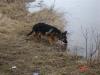 Fayza 20090307