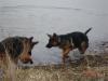 Fayza 20090307
