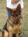 Loki 20090307