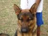 Loki 20090307