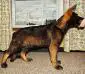 18wks