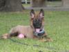Gia 16 weeks