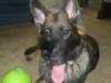 6 months old