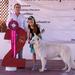 BIS Res in Mérida dog Show 
