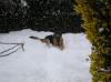 Imagen067