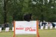 CACIT IPO-3 Sankt Peterburg 2011_14