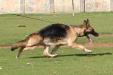 Candy on the Move