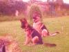 Sam pic 22