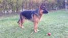 8 month old
