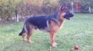 8 month old