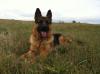 9 month old