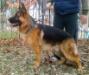 10 month old