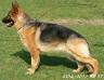 KIRA - 2 Jahre