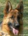 KIRA - 2 Jahre