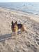 Pictures of Luma