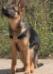 Rocky pics