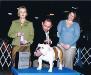 Winner's Dog Ortiz's Sir Rocco The Bull