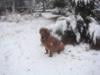 Dozier in snow
