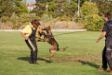 6 months old, participation in Davide Codebue seminar