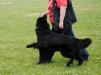 Training TZ Kreuzgrund