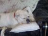 nap time