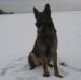 Januar 2013 