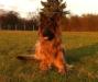 Dezember 2011