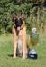 National BSD Champion in Obedience 2013, 2012