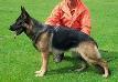 Seba Picture