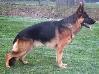 Yasco van Dan Alhedy's Hoeve Picture