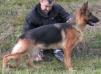 Queen von der Bottroper Grenze Picture