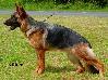 Yilka aus Wattenscheid Picture