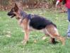 Nena zum Turmacker Picture