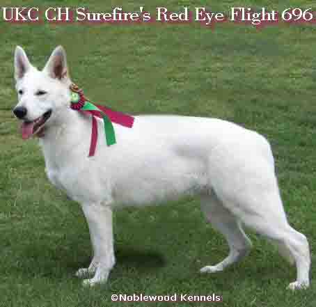 CH (UKC) Surefire's Red Eye Flight 696