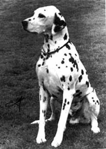 CH Elaridge Endeavour