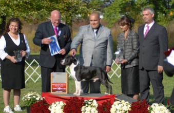 Labotane Don't Forget Fred