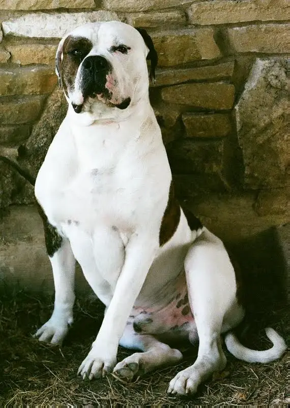 Abner Black Thunder d'aldeia