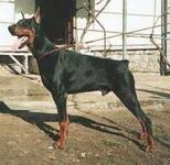 Gad Von Franckenhorst