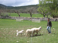 Concurrido serrania solana