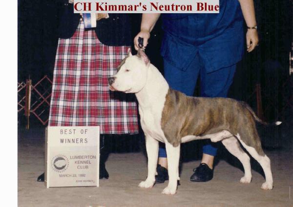 CH Kimmar's Neutron Blue