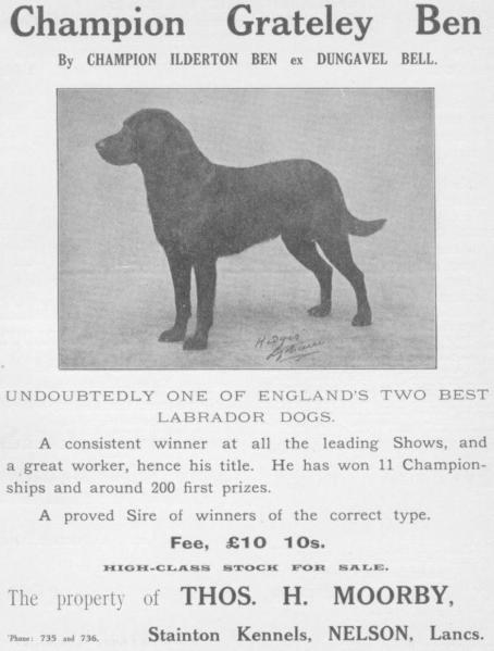 GB:CH:F.T.W. Grateley Ben (1919)