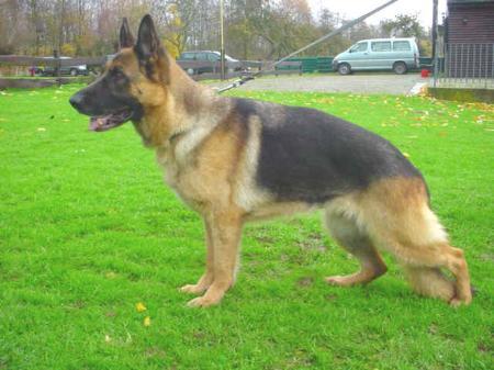 V Ursel vom Tollensestrand