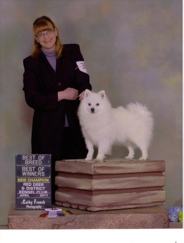 CKC CH PaulasPolar Stealin Ur Heart