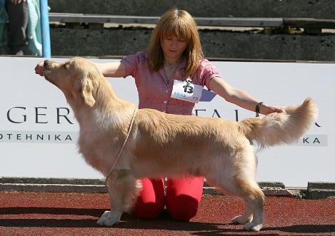 BALTJ,LT,PL,EST CH Ashbury Call Me Luis