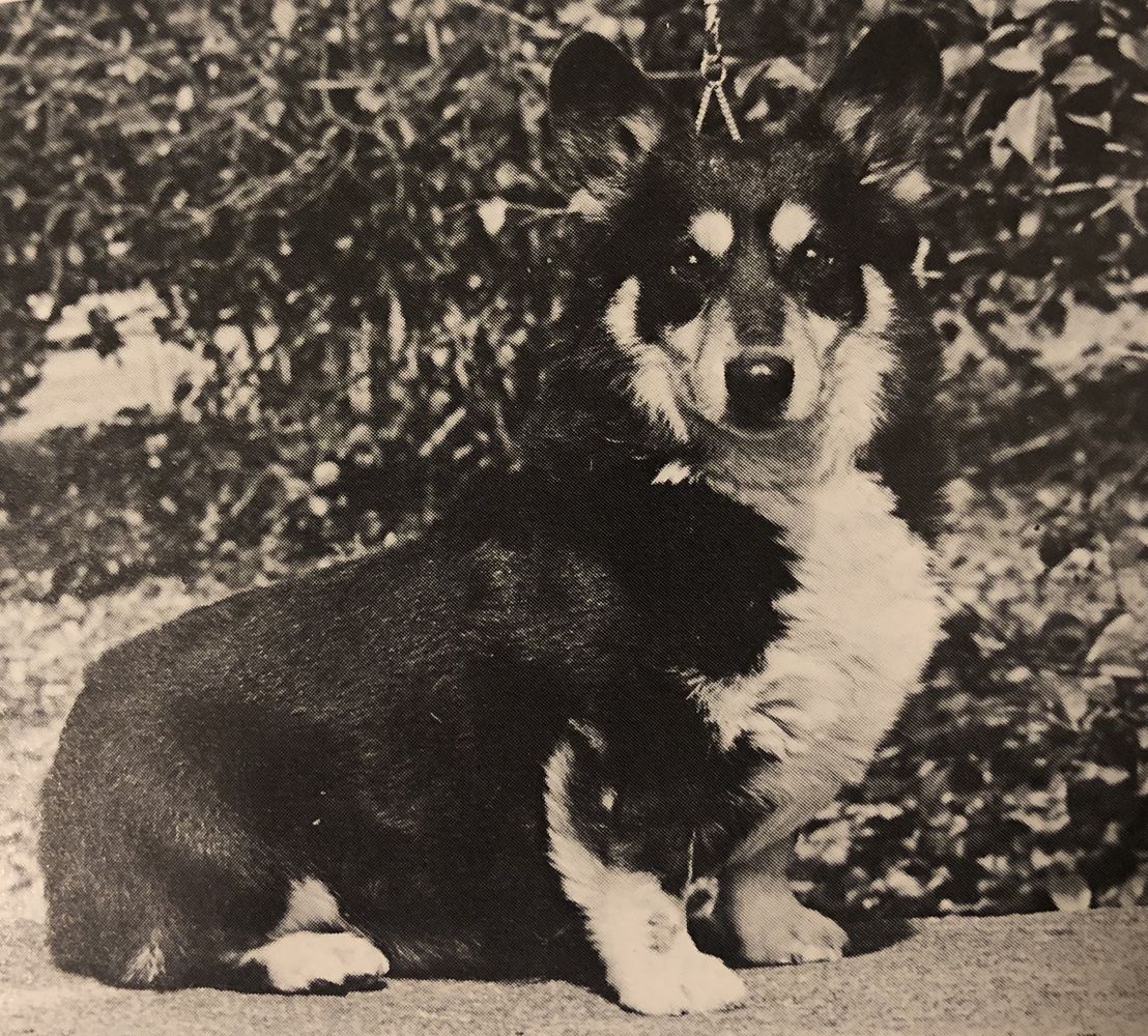 CH Cote De Neige Instant Replay